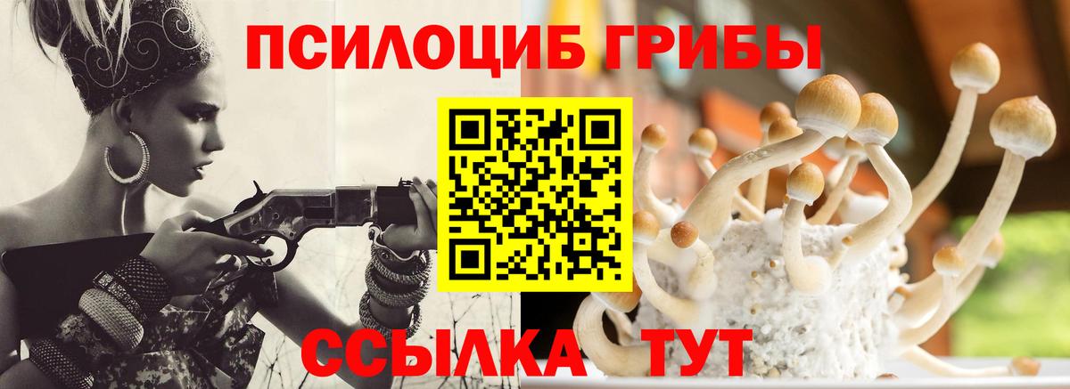 Псилоцибиновые грибы GOLDEN TEACHER  Галлюциногенные грибы Psilocybine cubensis  Нижний Новгород  Вход с VPN 